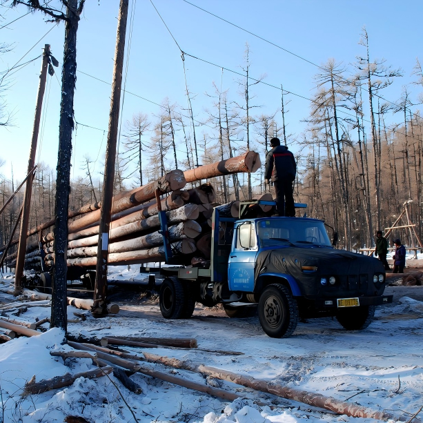 Forestry & Agriculture